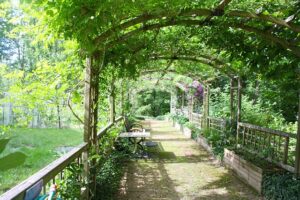 Eine Holz-Pergola kann für die Gartengestaltung genutzt werden