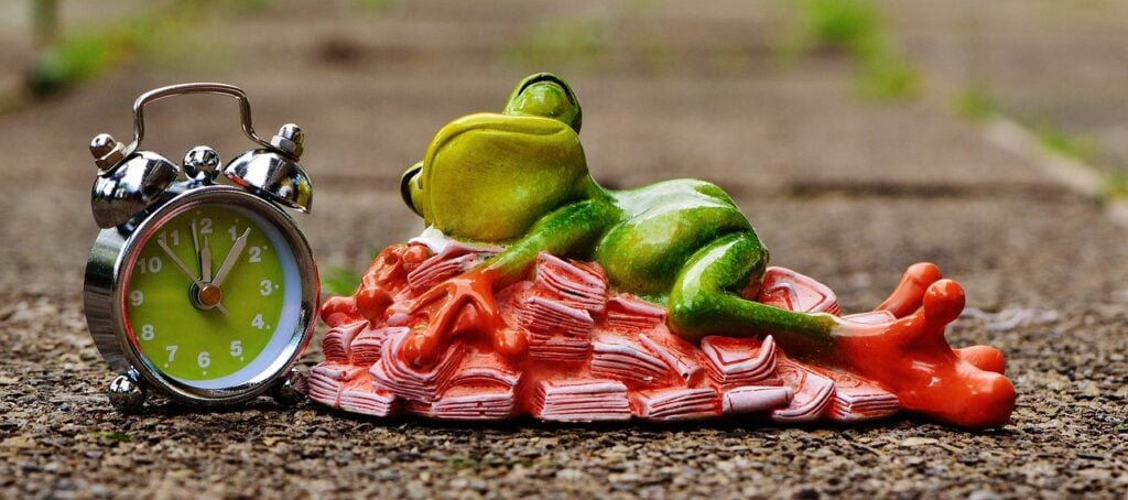 time is money, money calms down, nature, sleep, heaps of money, frog, figure, fun, cute, decoration, green, animal