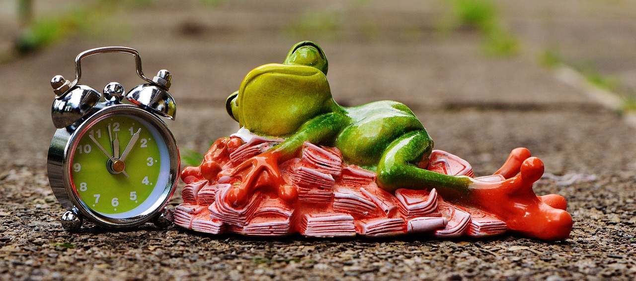 time is money, money calms down, nature, sleep, heaps of money, frog, figure, fun, cute, decoration, green, animal
