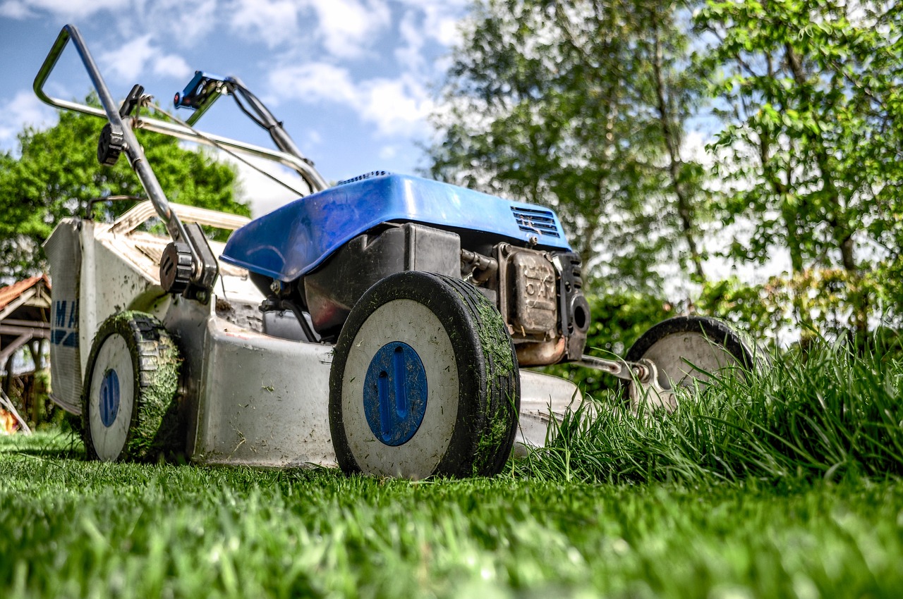 lawn mower, grass, garden, front yard, gardening, nature, lawn-mower chassis, lawn, cutting, gardener, equipment, machine, backyard, mower, maintenance, yard