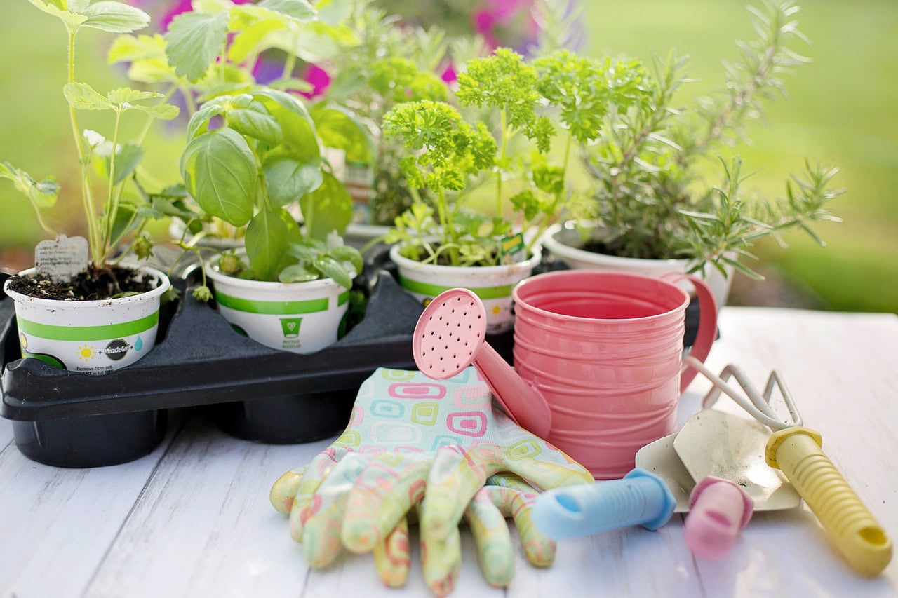 planting, spring, herbs, gardening, plants, tools, gardening tools, nature, seedlings, gardening tools, gardening tools, gardening tools, gardening tools, gardening tools