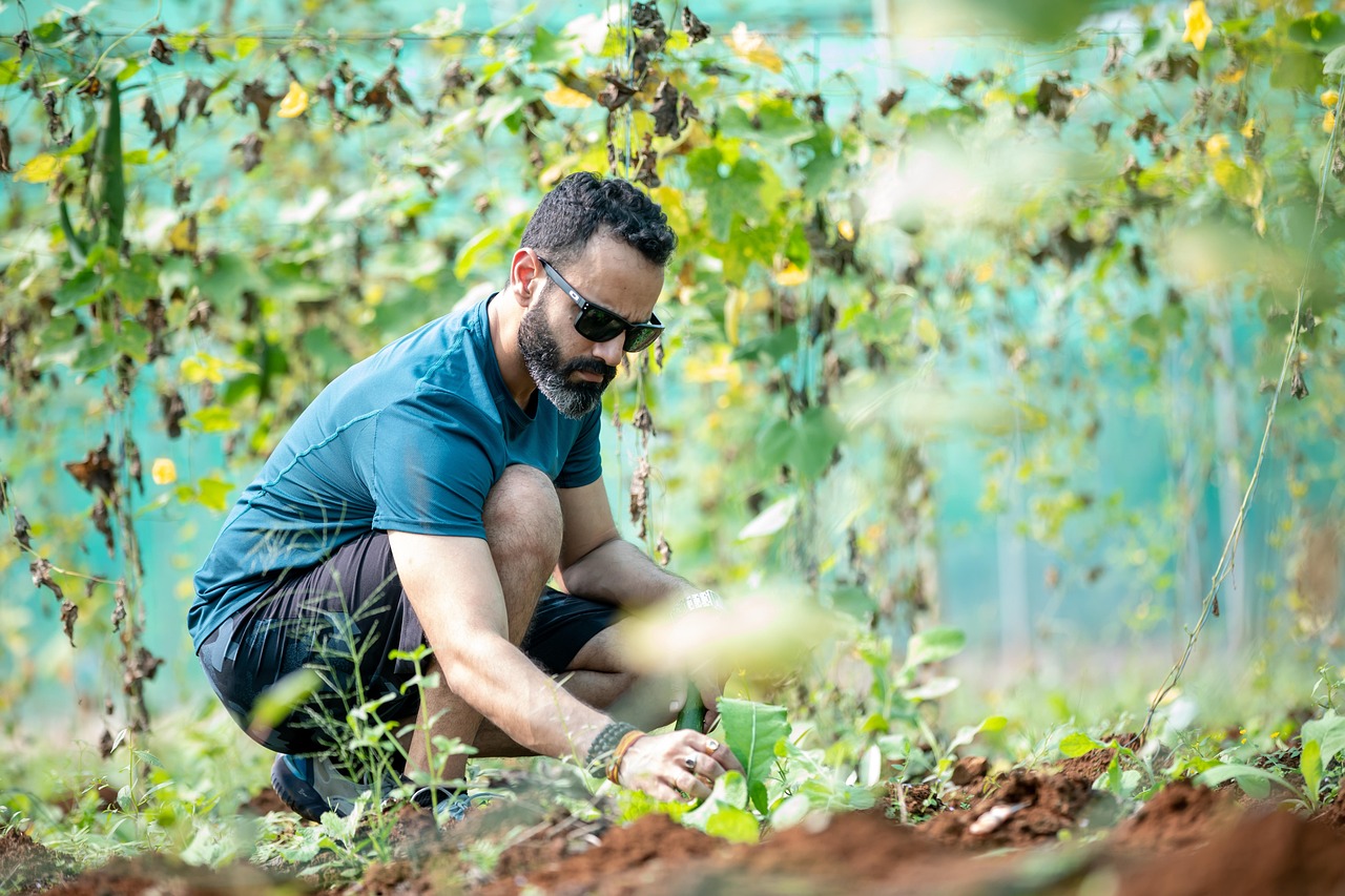 agriculture, man, farmer, gardener, male, farmer, farmer, farmer, farmer, farmer, gardener, gardener