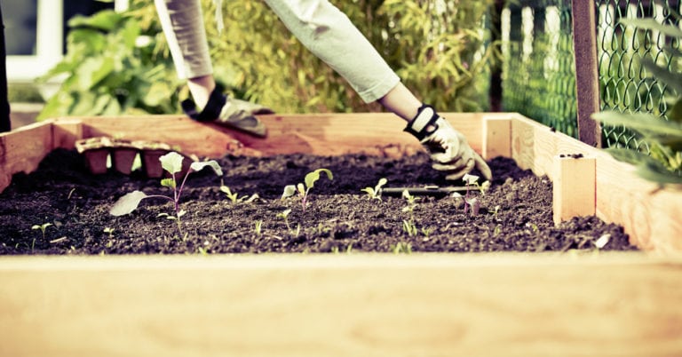 Die 6 Besten Hochbeete (2025) Im Test! Garten.Schule