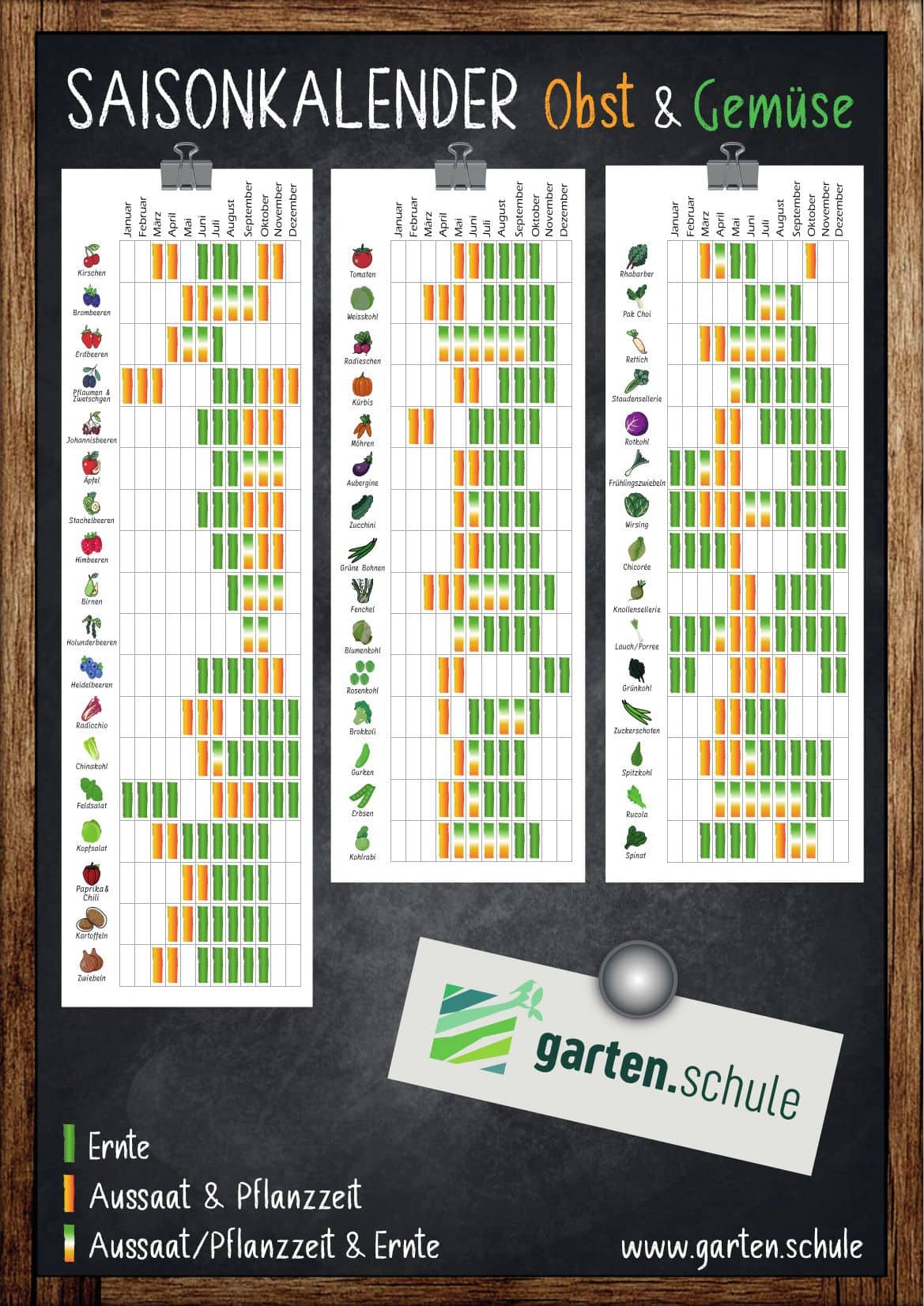 Aussaatkalender Und Erntekalender Für Gemüse Und Obst Garten.Schule