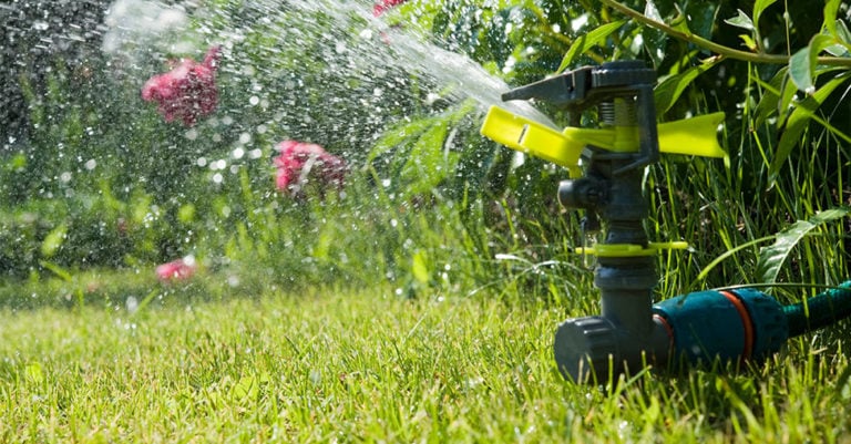 Die 4 Besten Gartenpumpen Mit Abschaltautomatik (2025) Im Test