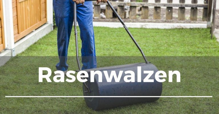 Rasen walzen Garten.Schule