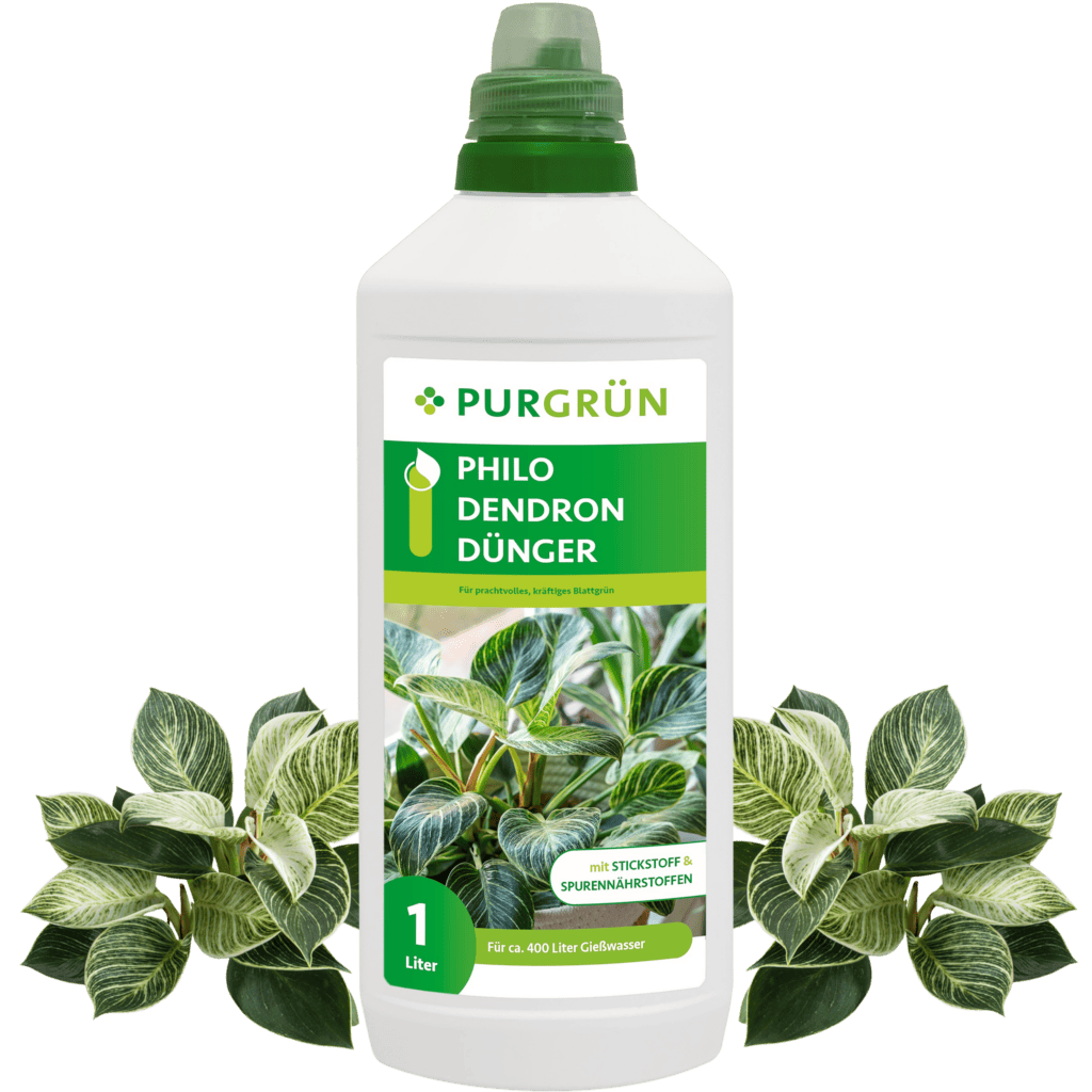 Purgrün Philodendron-Dünger