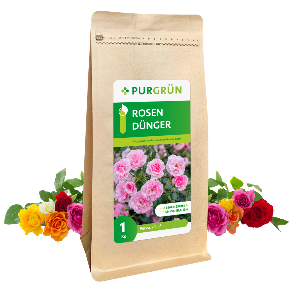 Rosen Düngen Praktische Tipps Für Gesunde Pflanzen Im Garten Garten