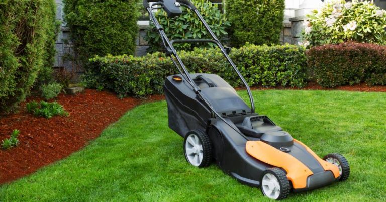 Die 5 Besten Bosch Akku Rasenmäher (2023) Im Test! Garten.Schule