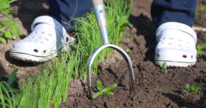 Die 4 Besten Pendelhacken (2025) Im Test! Garten.Schule
