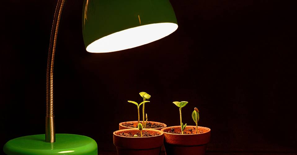 1500W LED Grow Light Panel Lamp Vollspektrum Pflanzenlampe Gewächshaus Licht DHL 