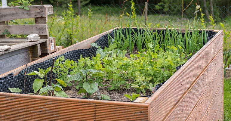 Die 3 Besten Hochbeetfolien (2025) Im Test! Garten.Schule
