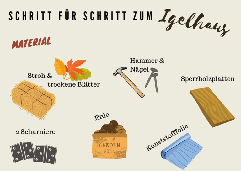 Wie Baut Man Ein Igelhaus? Garten.Schule