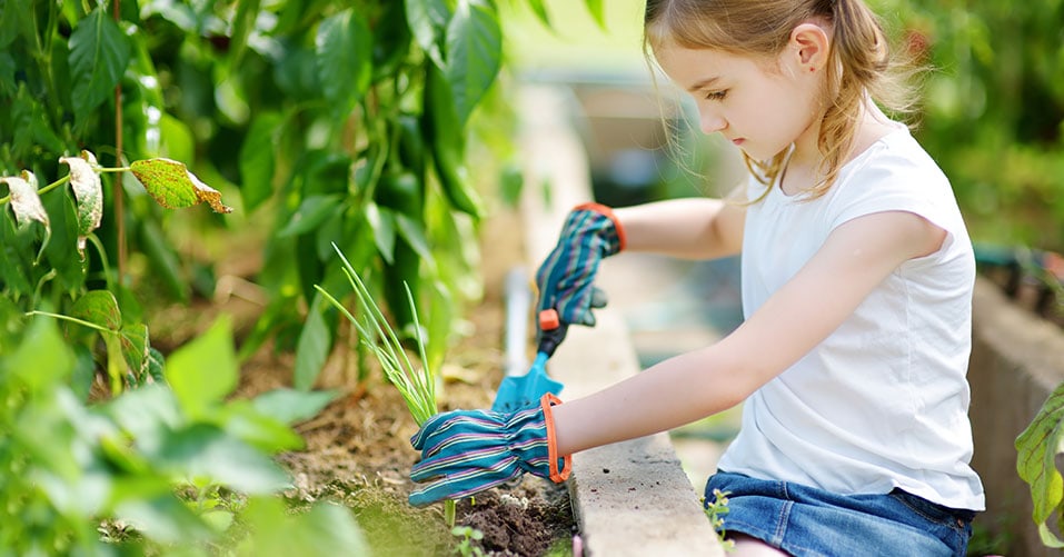 Größen OS Kinder Arbeitshandschuhe Gartenhandschuh KIDS blau/grau Leder versch 