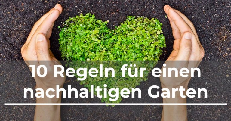 Die 10 goldenen (oder grünen) Regeln für deinen nachhaltigen Garten