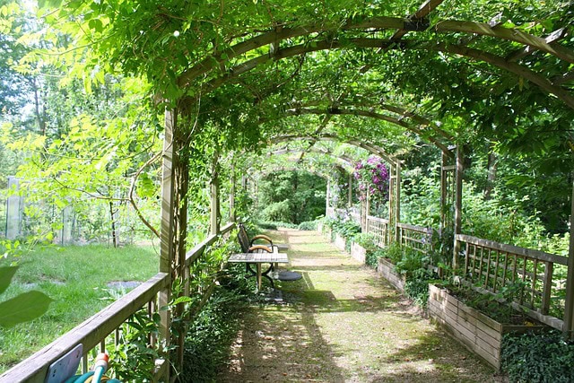 Eine Holz-Pergola kann für die Gartengestaltung genutzt werden