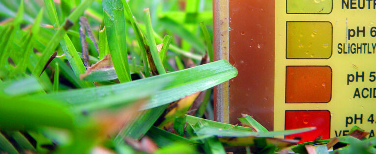 Den PHWert Im Rasen Messen Garten.Schule