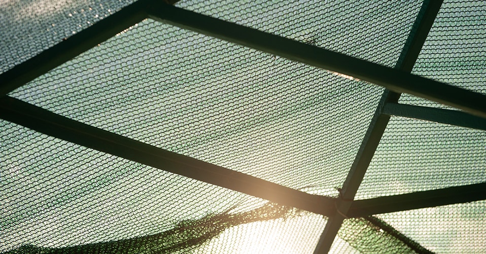  Schattiernetz GewäChshaus Sonnenschutz Netz,Schattentuch Leicht  Und Haltbarkeit Schatten Uv bestäNdiges Netz 50%-55% Shading Rate,FüR  Garten Blumen Pflanze Schwarz (1mx2m/3.3ftx6.6ft)
