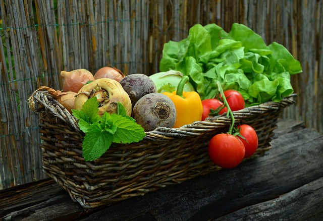 Aussaatkalender und Erntekalender für Gemüse und Obst