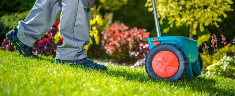 Rasenpflege Wann Und Wie Düngen Für Einen Gesunden Rasen Garten.Schule
